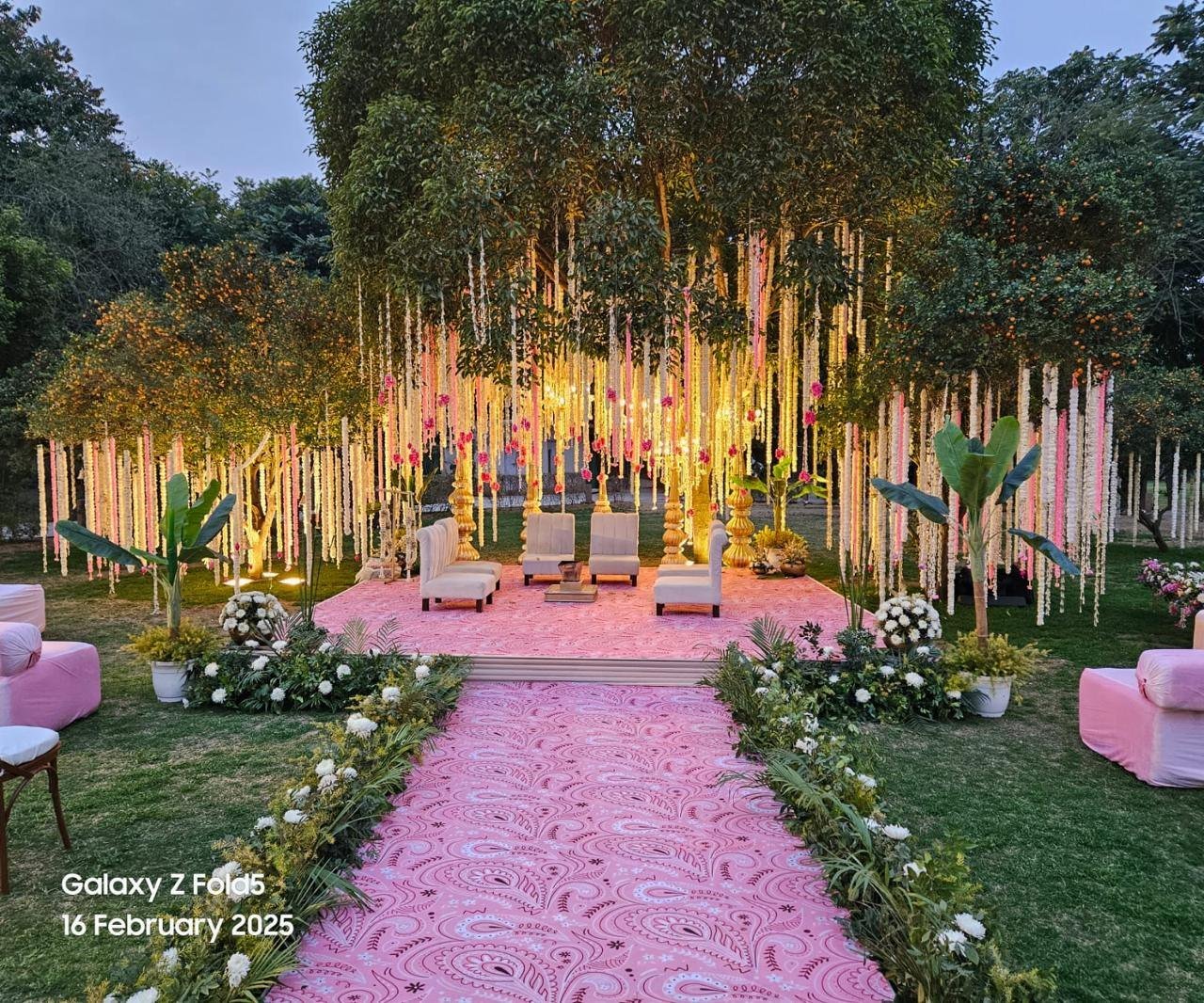 Haldi